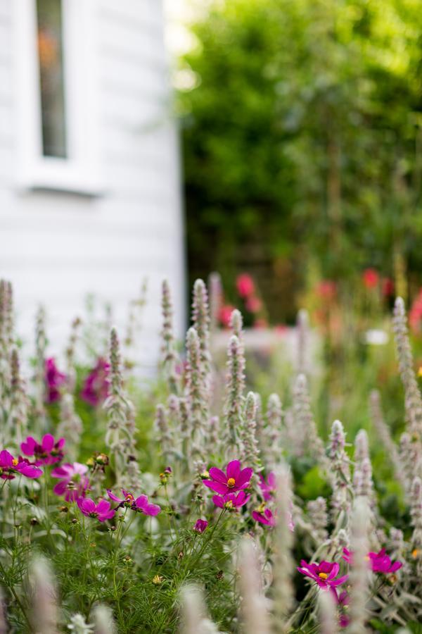 Coghill Cottage Whitianga Exterior foto